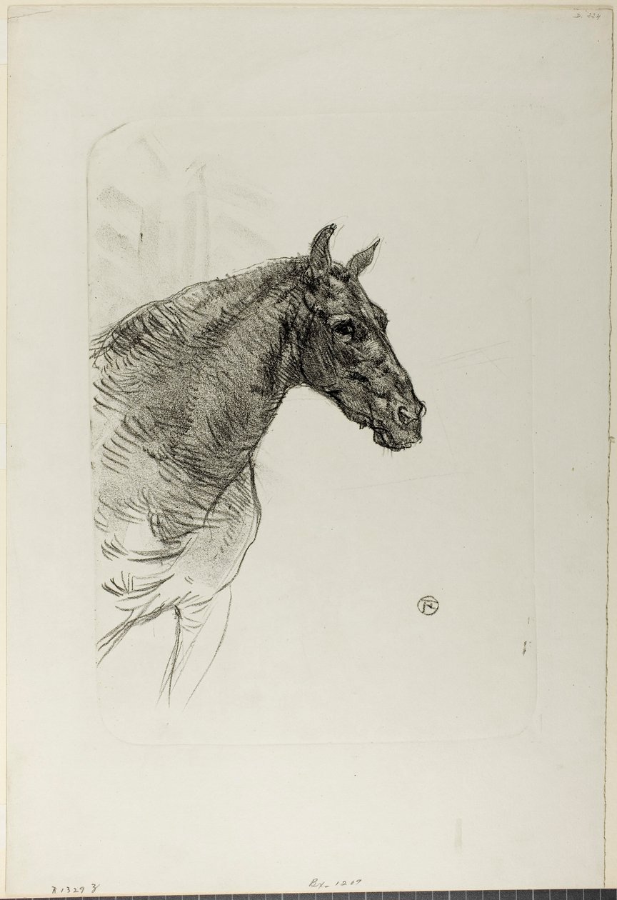 Philibert poni tekijältä Henri de Toulouse-Lautrec