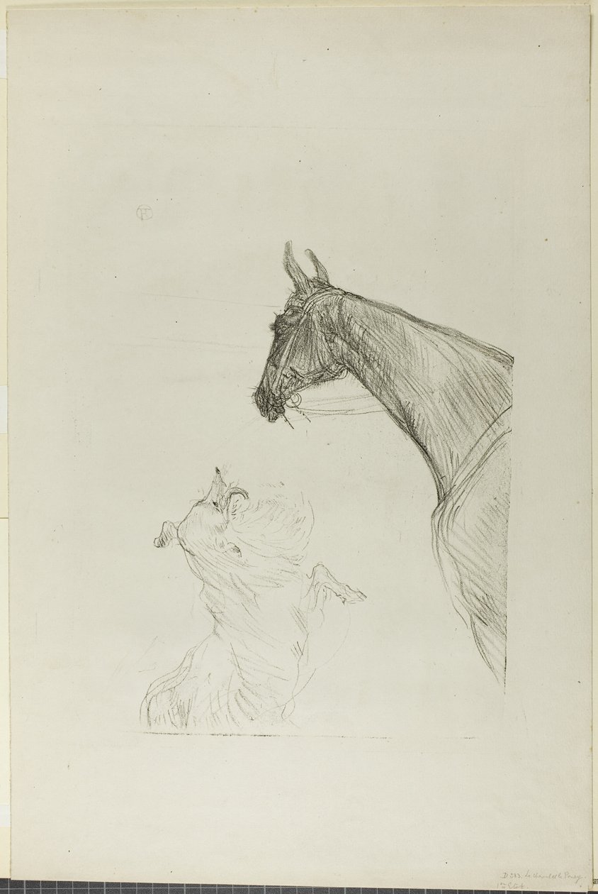 Hevonen ja collie tekijältä Henri de Toulouse Lautrec