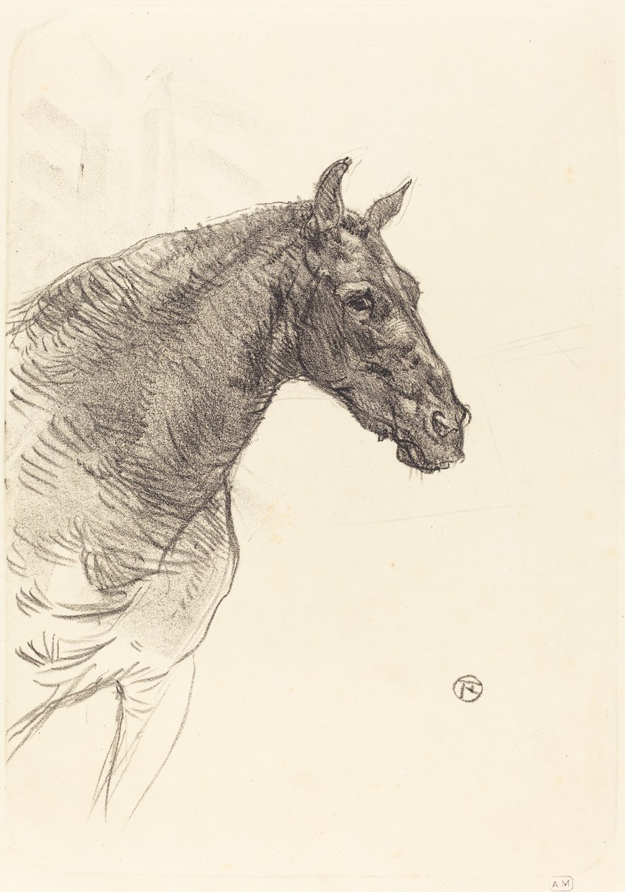 Vanha hevonen Vanha hevonen, 1897. tekijältä Henri de Toulouse Lautrec