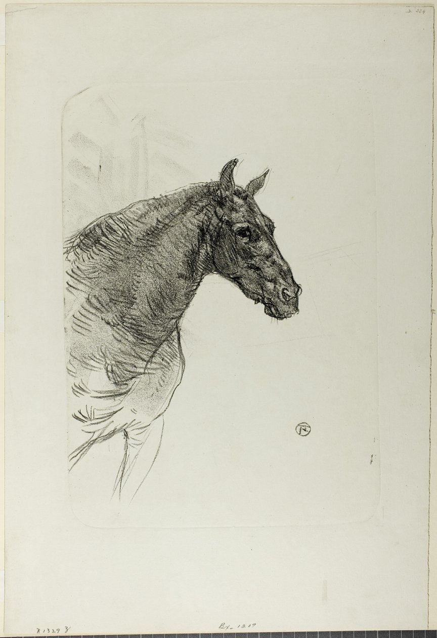 Philibert poni tekijältä Henri de Toulouse Lautrec