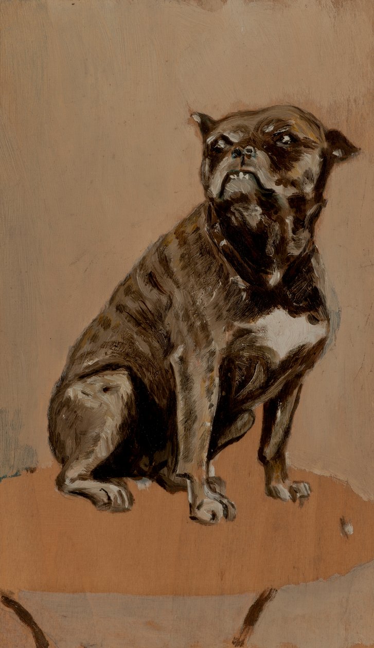 Touc, pöydällä istuva tekijältä Henri de Toulouse Lautrec