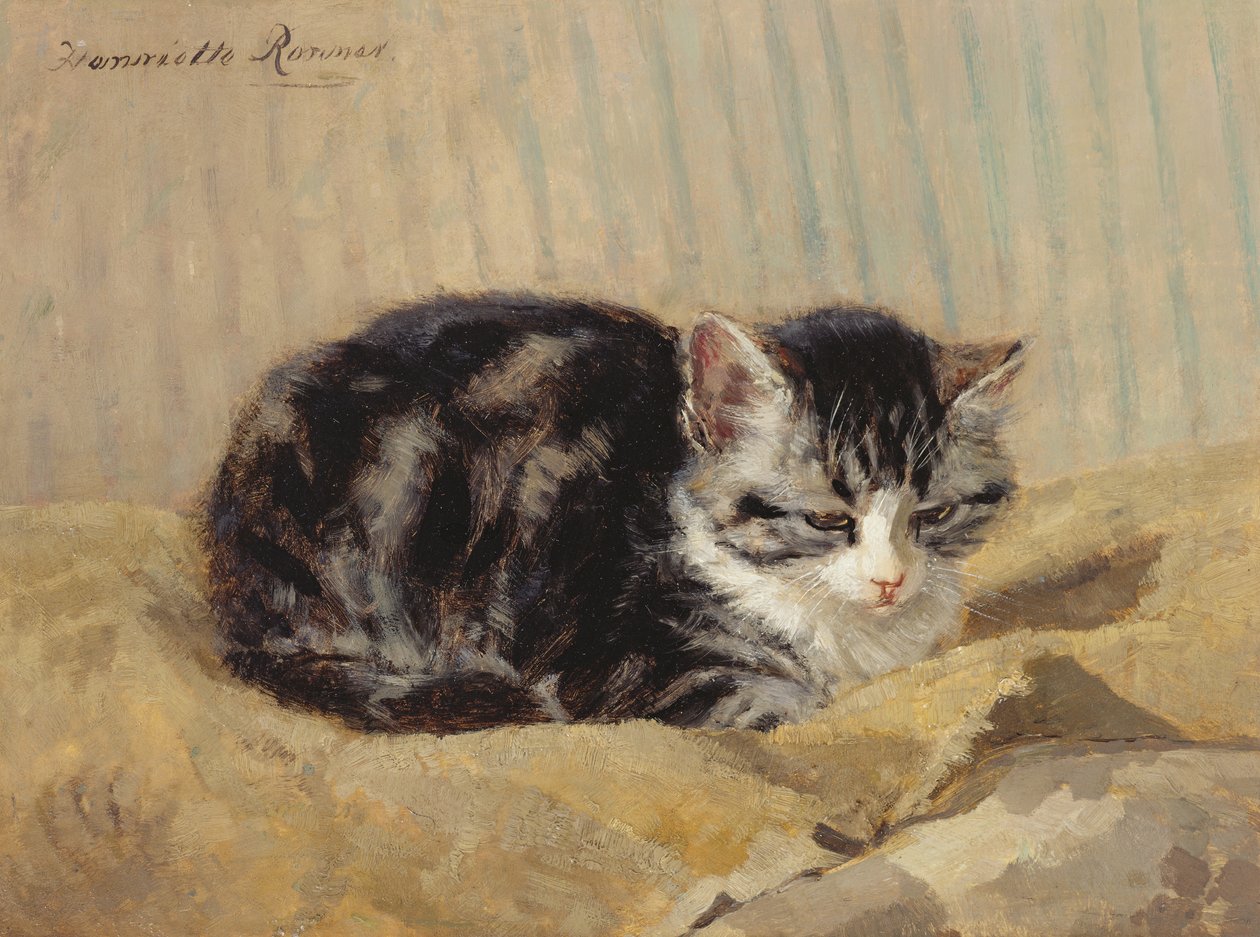 Tabby tekijältä Henriëtte Ronner Knip