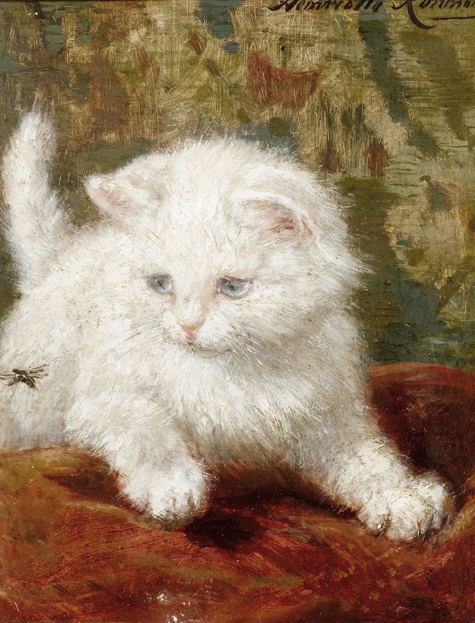 Uteliaisuus tekijältä Henriëtte Ronner Knip