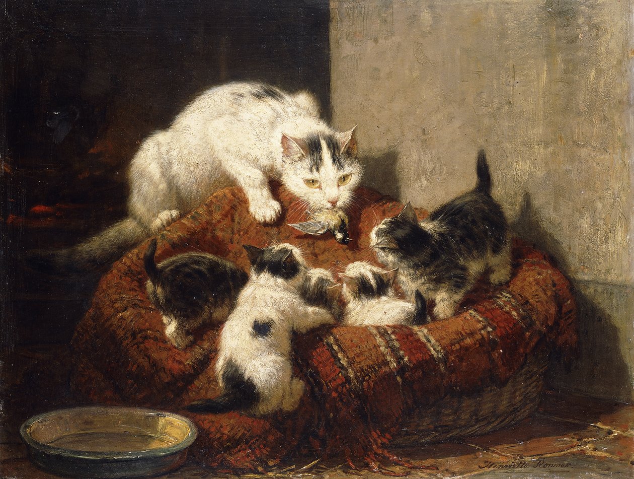 Sulkainen lahja, tekijältä Henriëtte Ronner Knip