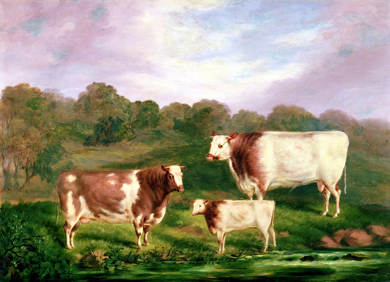 Towneleyn sukutaulut, 1858-61 tekijältä Henry Barraud