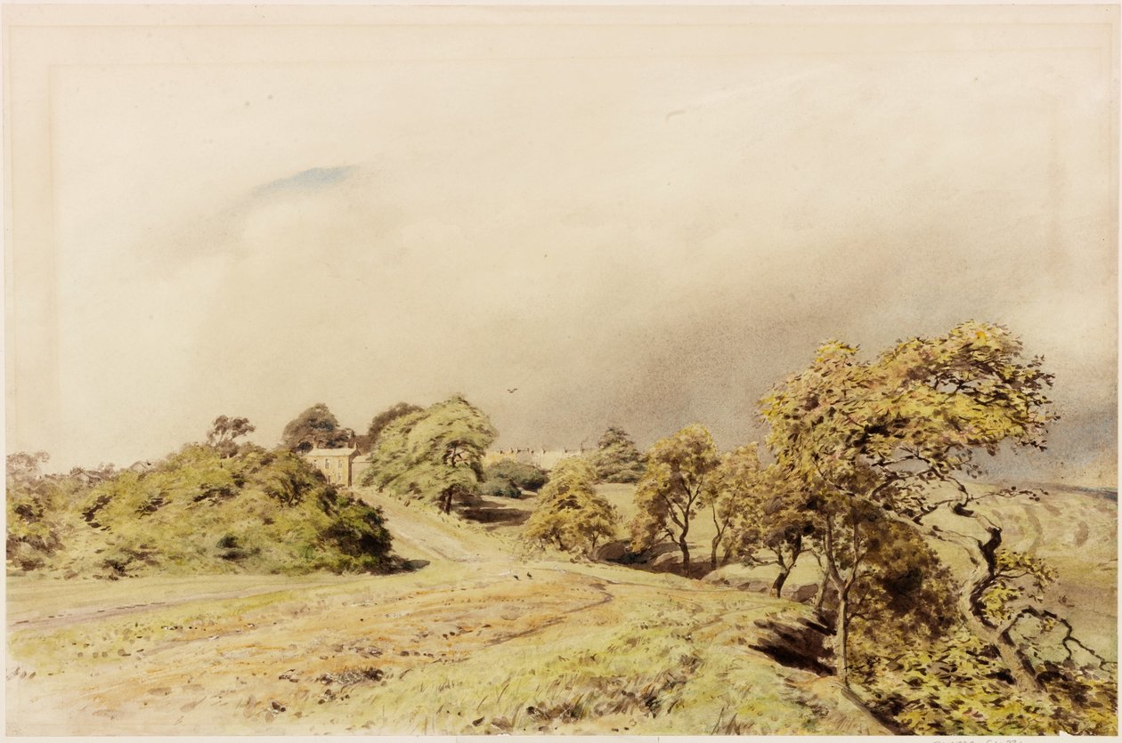 Beaumont (vartalon väri) tekijältä Henry Burdon Richardson