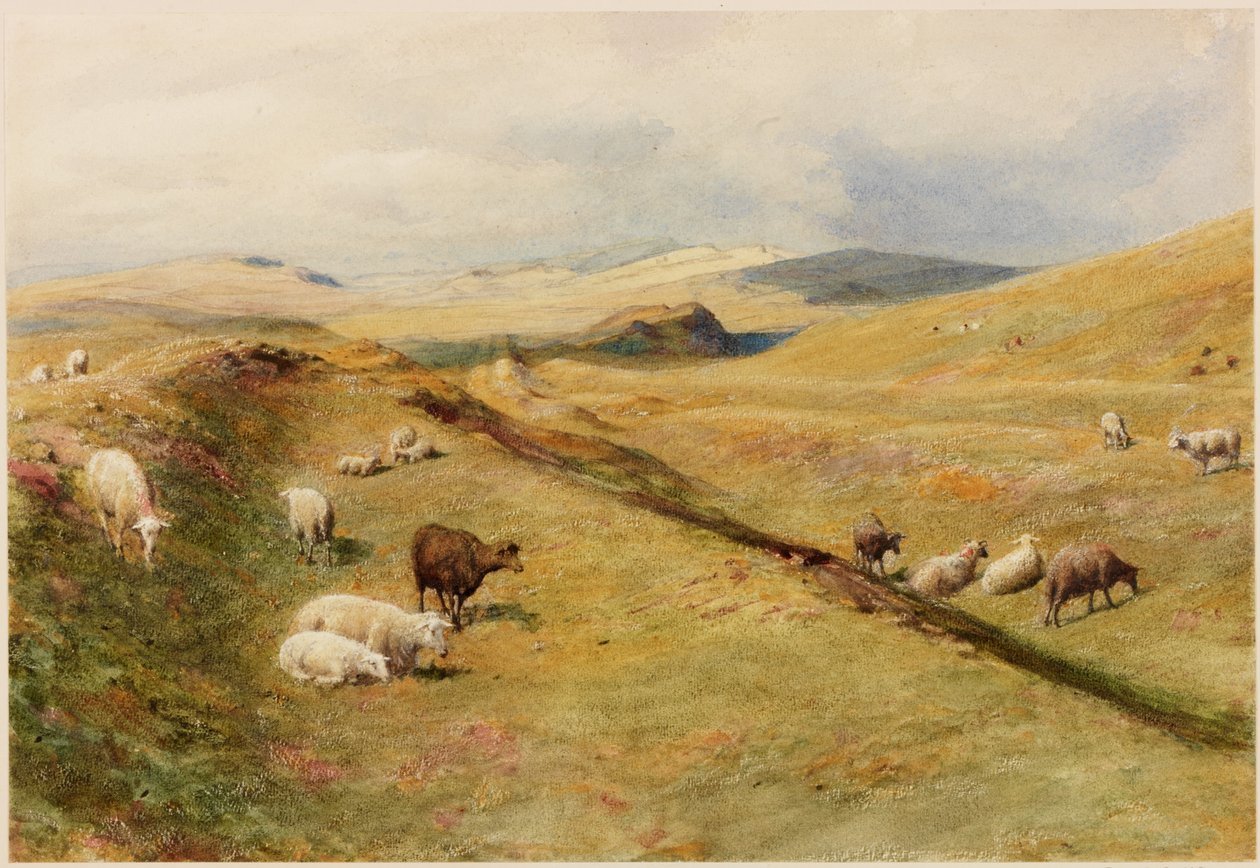Castle Nick (vartalon väri) tekijältä Henry Burdon Richardson