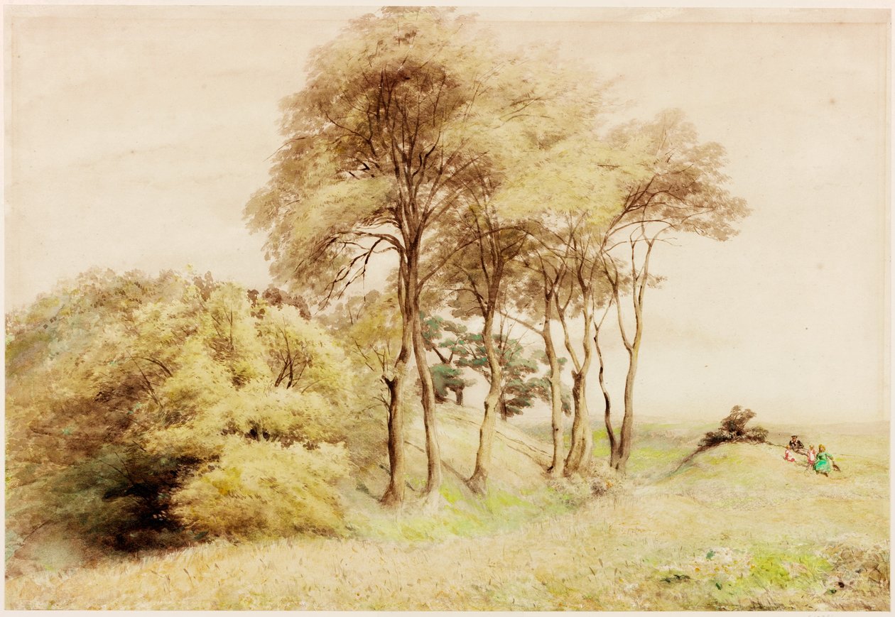 Drumburgh (vartalon väri) tekijältä Henry Burdon Richardson