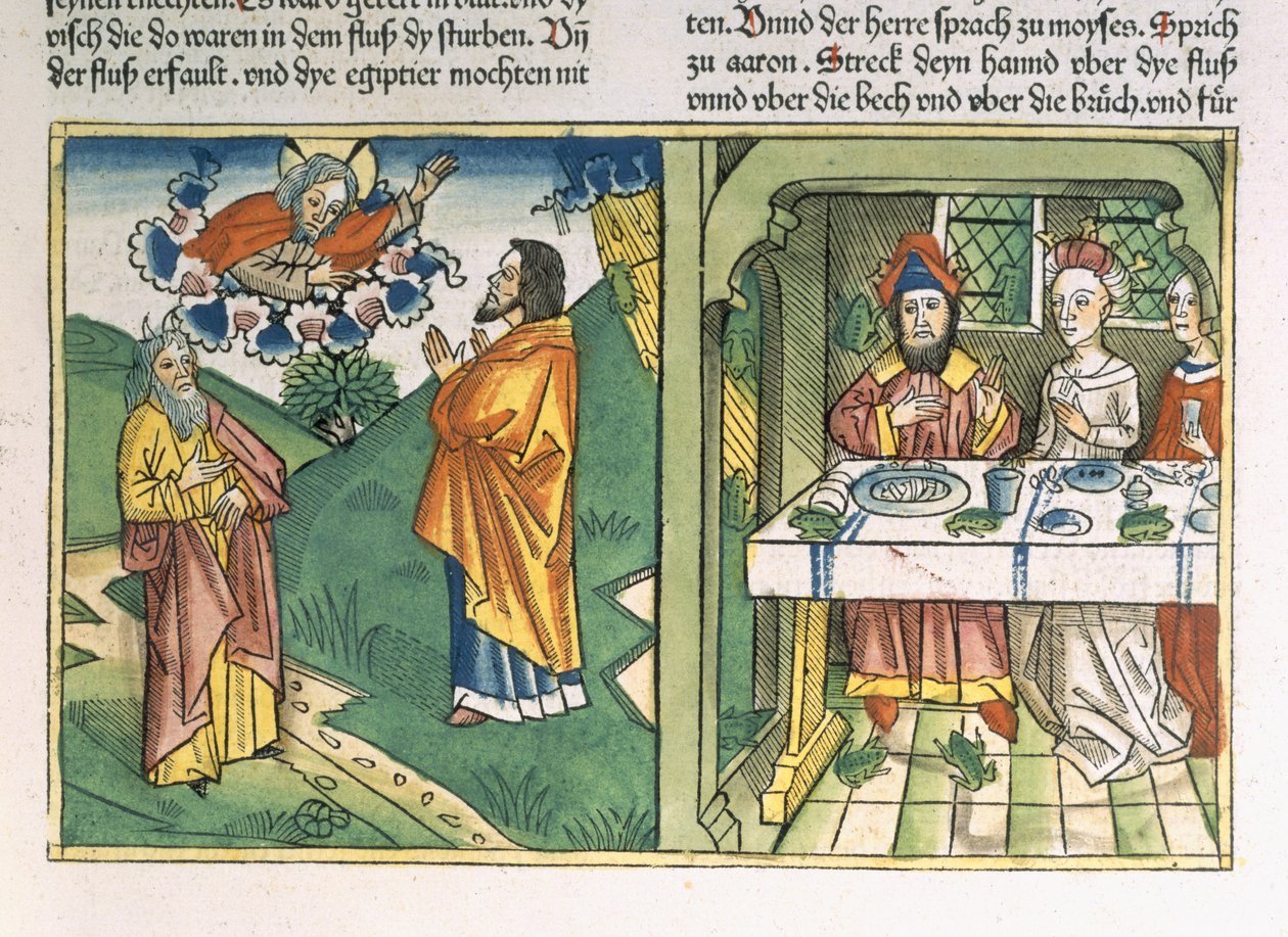 2. Mooseksen kirja 8 1-15 Egyptin seitsemän vitsausta: Nürnbergin Raamattu (Biblia Sacra Germanaica) (värillinen puupiirros). tekijältä Henry Room