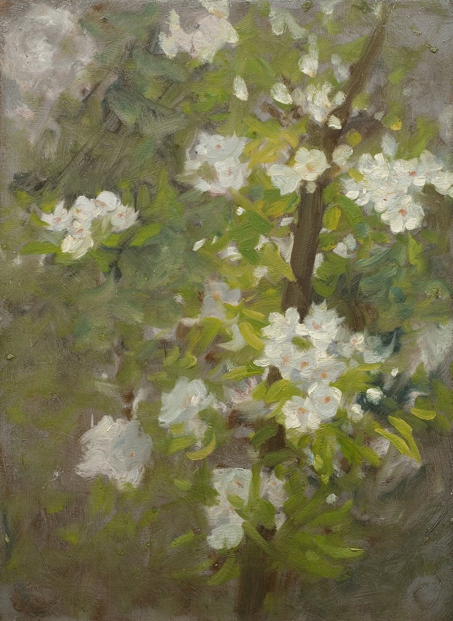 Valkoinen kukka tekijältä Henry Scott Tuke