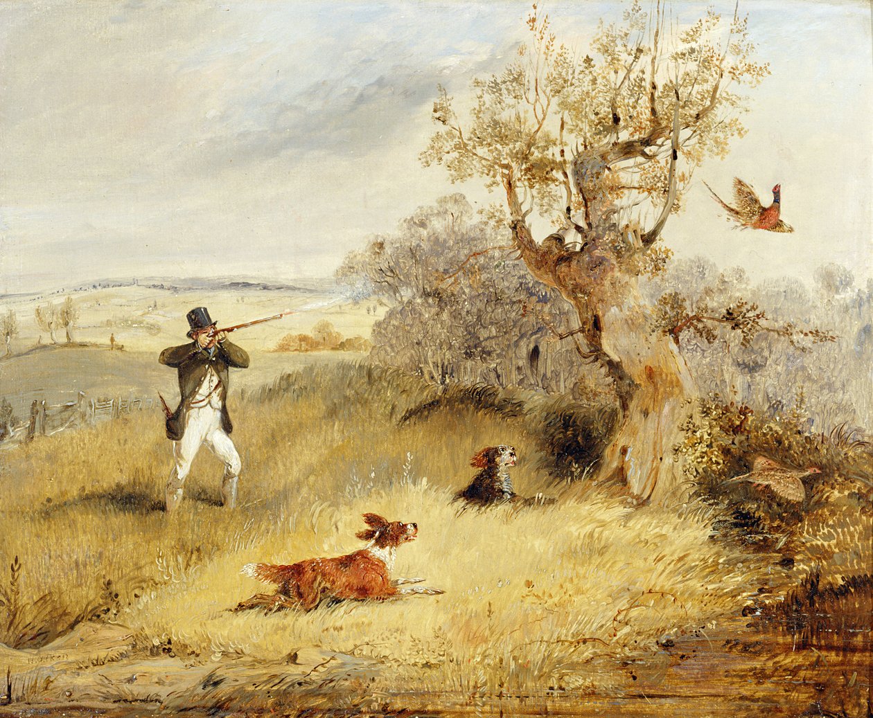 Fasaani Ammunta tekijältä Henry Thomas Alken