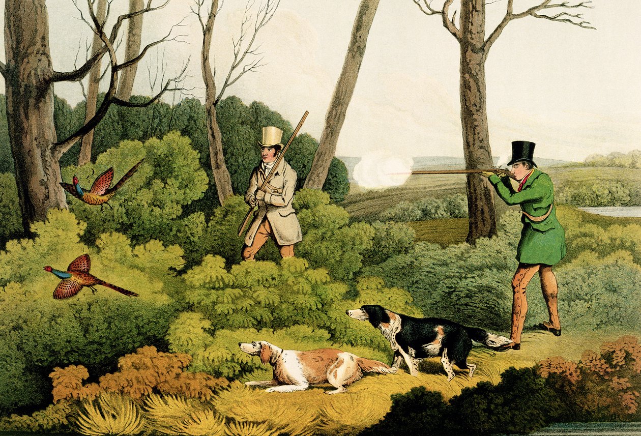 "Pheasant Shooting", pubi. kirjoittanut Thomas McLean, 1820 (painettu) tekijältä Henry Thomas Alken