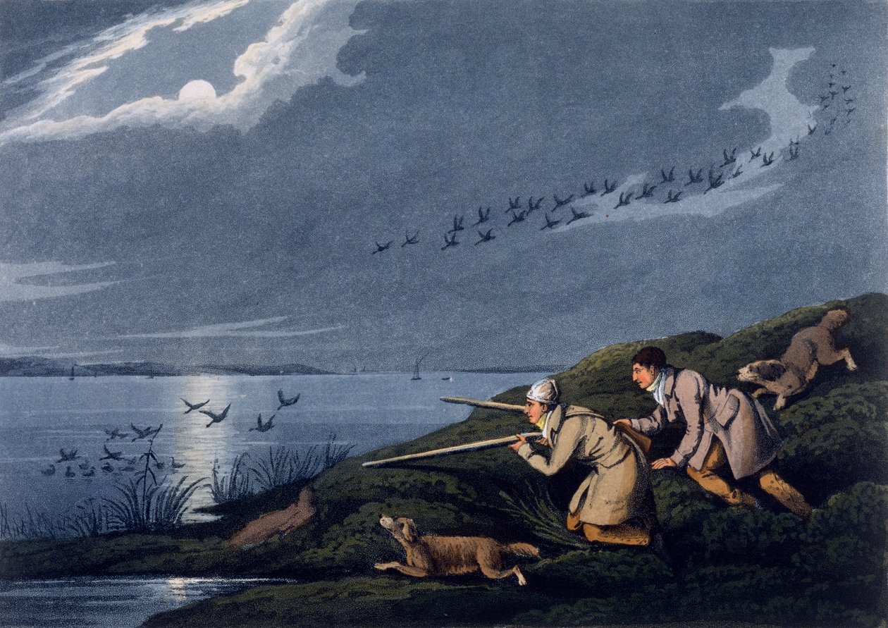 Villilintujen ammunta, 1820 tekijältä Henry Thomas Alken