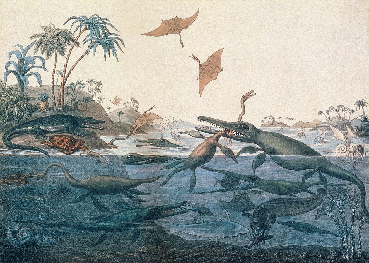 Duria antiquior (muinainen Dorset), mielikuvituksellinen rekonstruktio Jurassic merien elämästä, kaiverrettu George Scharf (1820-95), painattama Charles Joseph Hullmandel (1789-1850) tekijältä Henry Thomas De La Beche