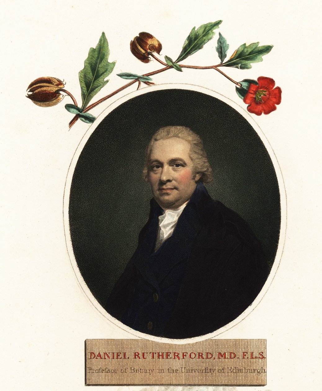 Kasvitieteilijä Daniel Rutherfordin muotokuva. 1805 (kaiverrus) tekijältä Henry (after) Raeburn