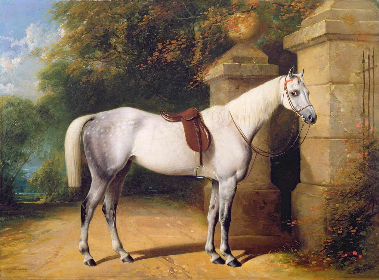 Harmaa hevonen Park Gatesin luota, 1851 tekijältä Henry Barraud