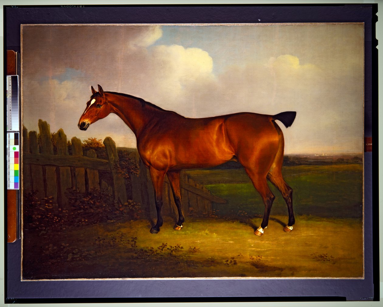 Bay Racehorse, Charles 5th Duke of Richmond and Lennoxin omaisuutta, maisemassa (maalaus) tekijältä Henry Bernard Chalon