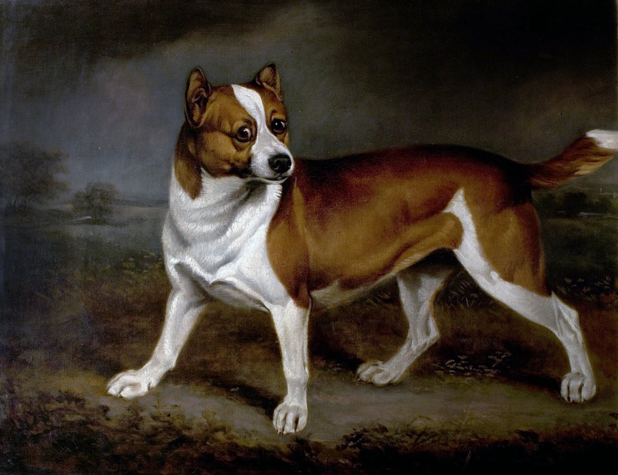 Nokkonen, 1812 tekijältä Henry Bernard Chalon