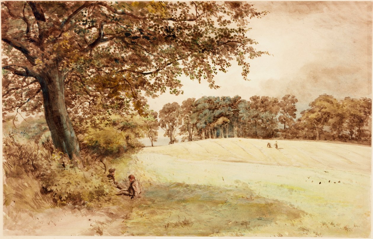 Benwell Hill Top (vartalon väri) tekijältä Henry Burdon Richardson