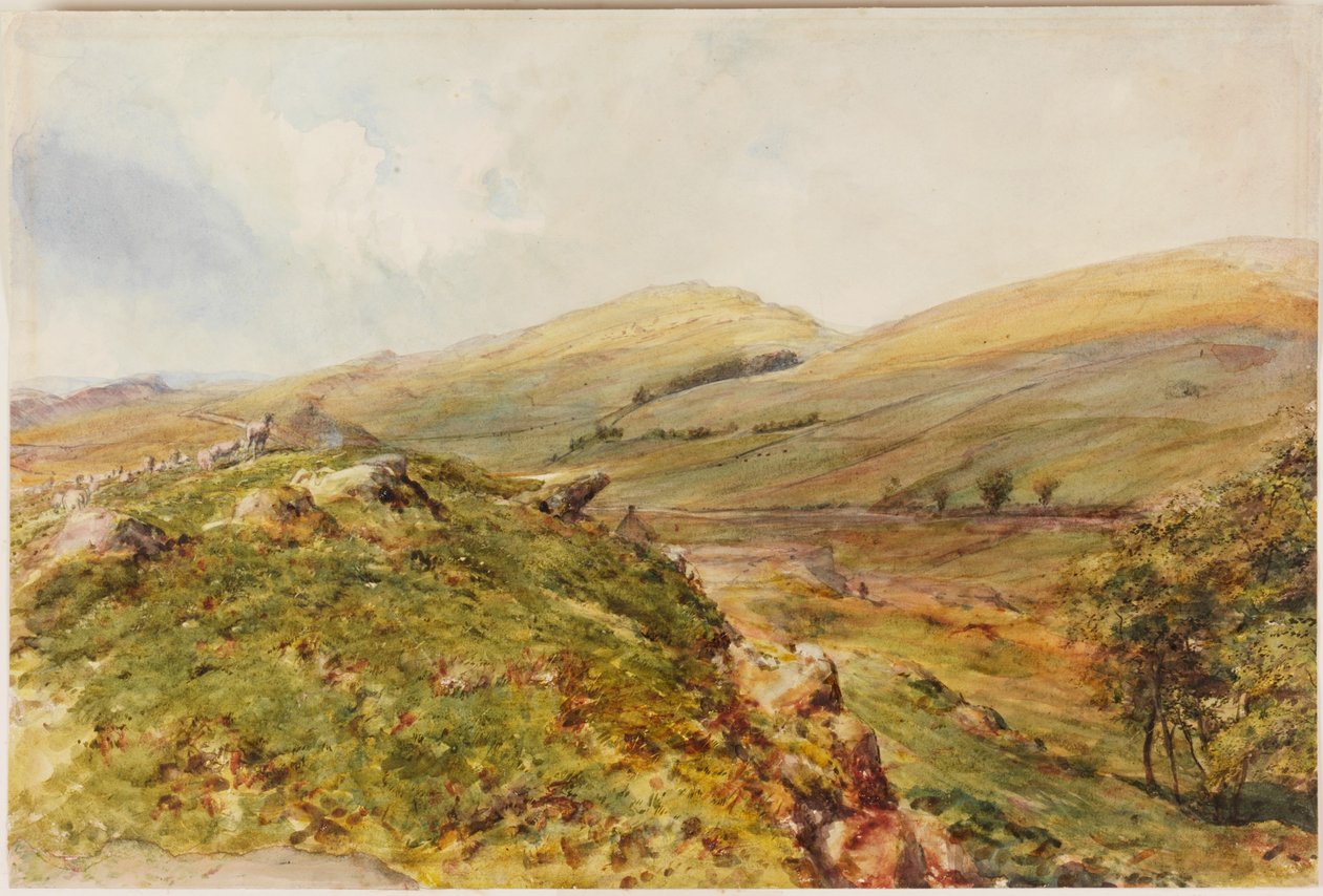 Cockmount Hill (vartalon väri) tekijältä Henry Burdon Richardson