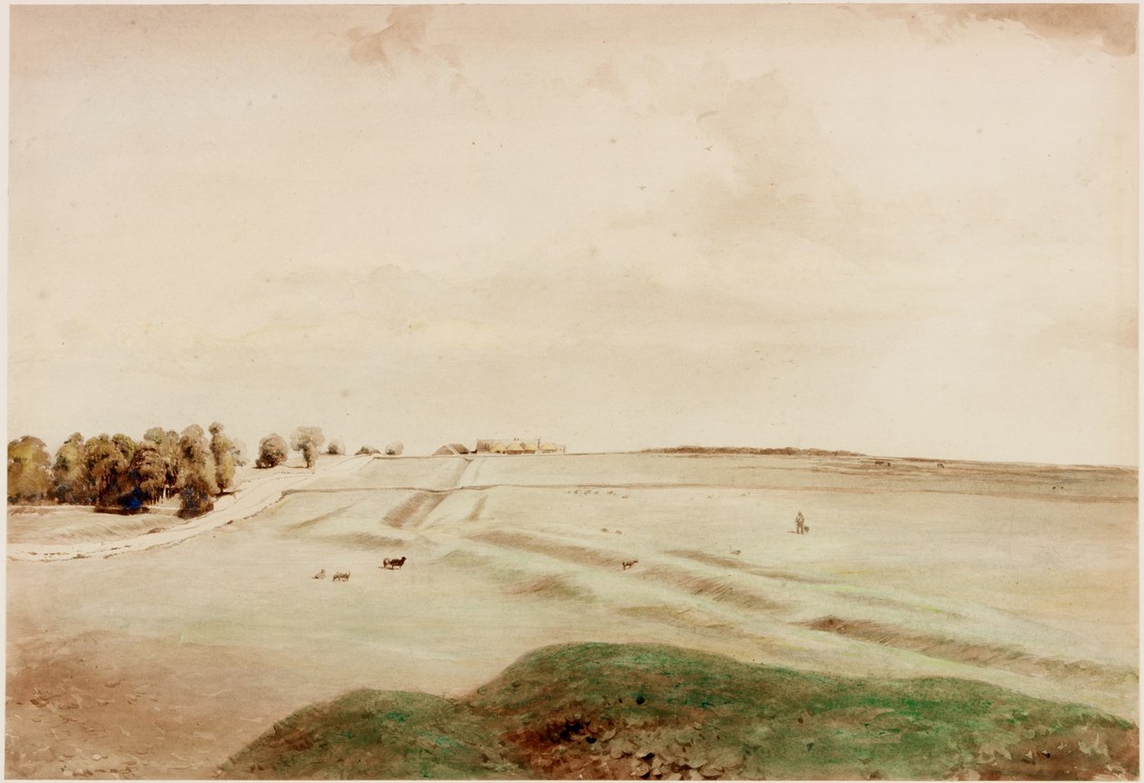 Down Hill, Northumberland (vartalon väri) tekijältä Henry Burdon Richardson