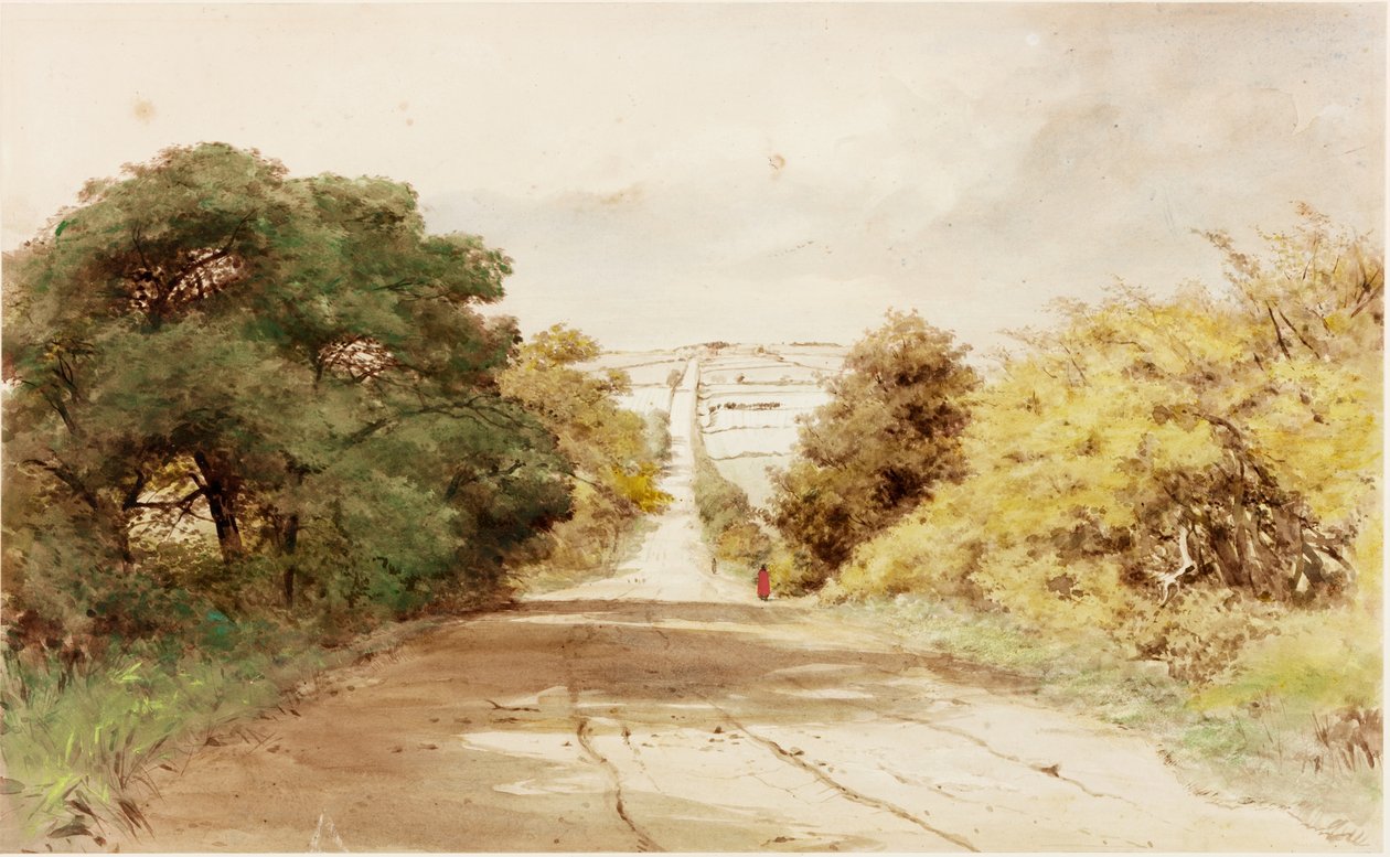Harlow Hill (vartalon väri) tekijältä Henry Burdon Richardson