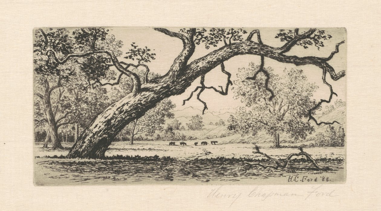 Paisatge de Califòrnia finès tekijältä Henry Chapman Ford