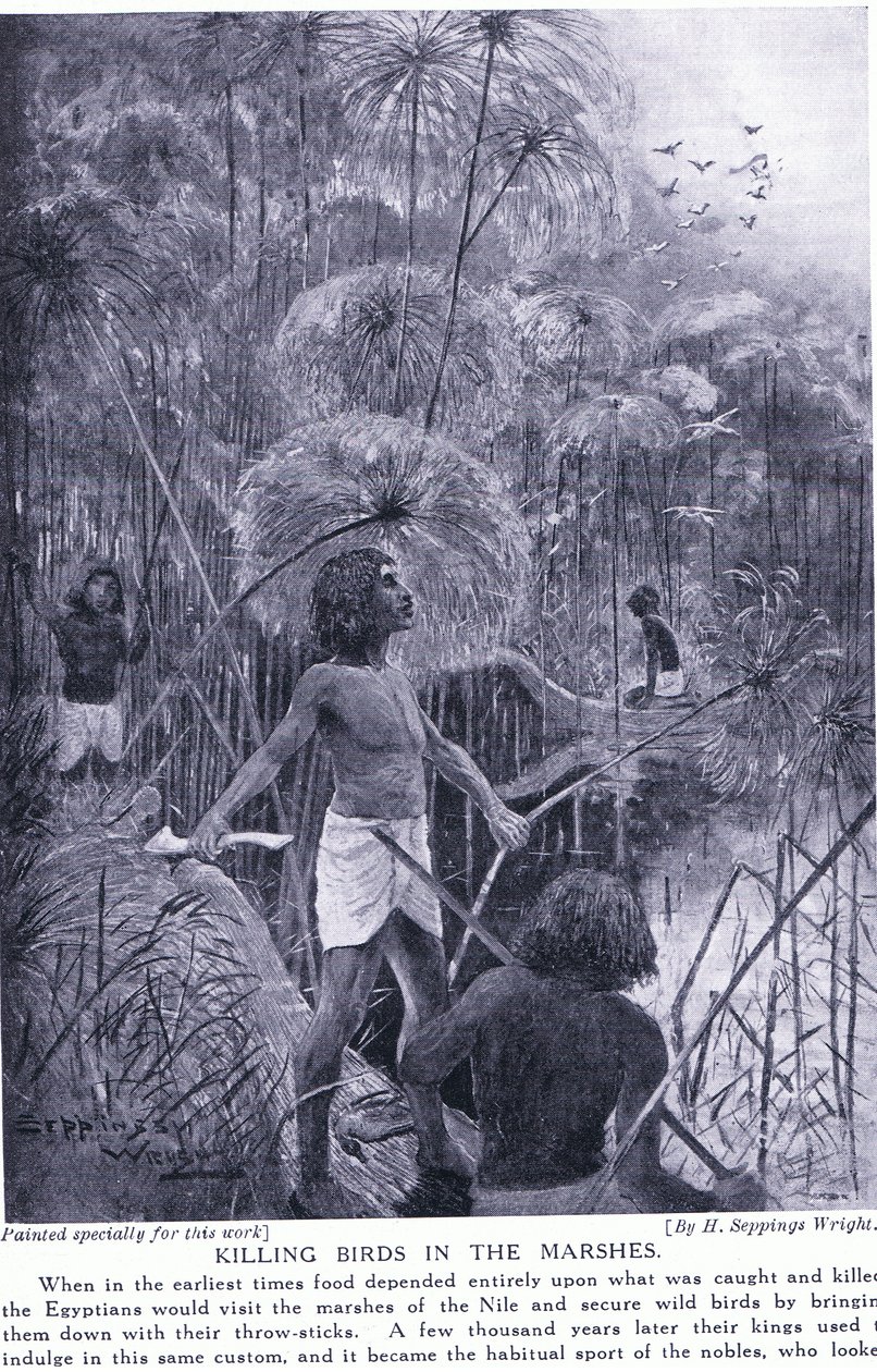 Lintujen tappaminen suoilla, n. 1920 tekijältä Henry Charles Seppings Wright