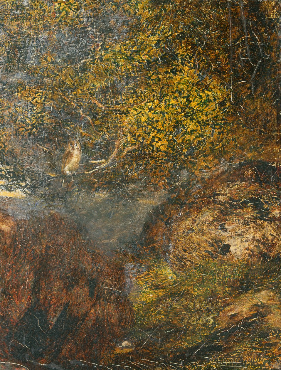 "Katujan visio: Pöllö", 1848-1912 tekijältä Henry Clarence Whaite