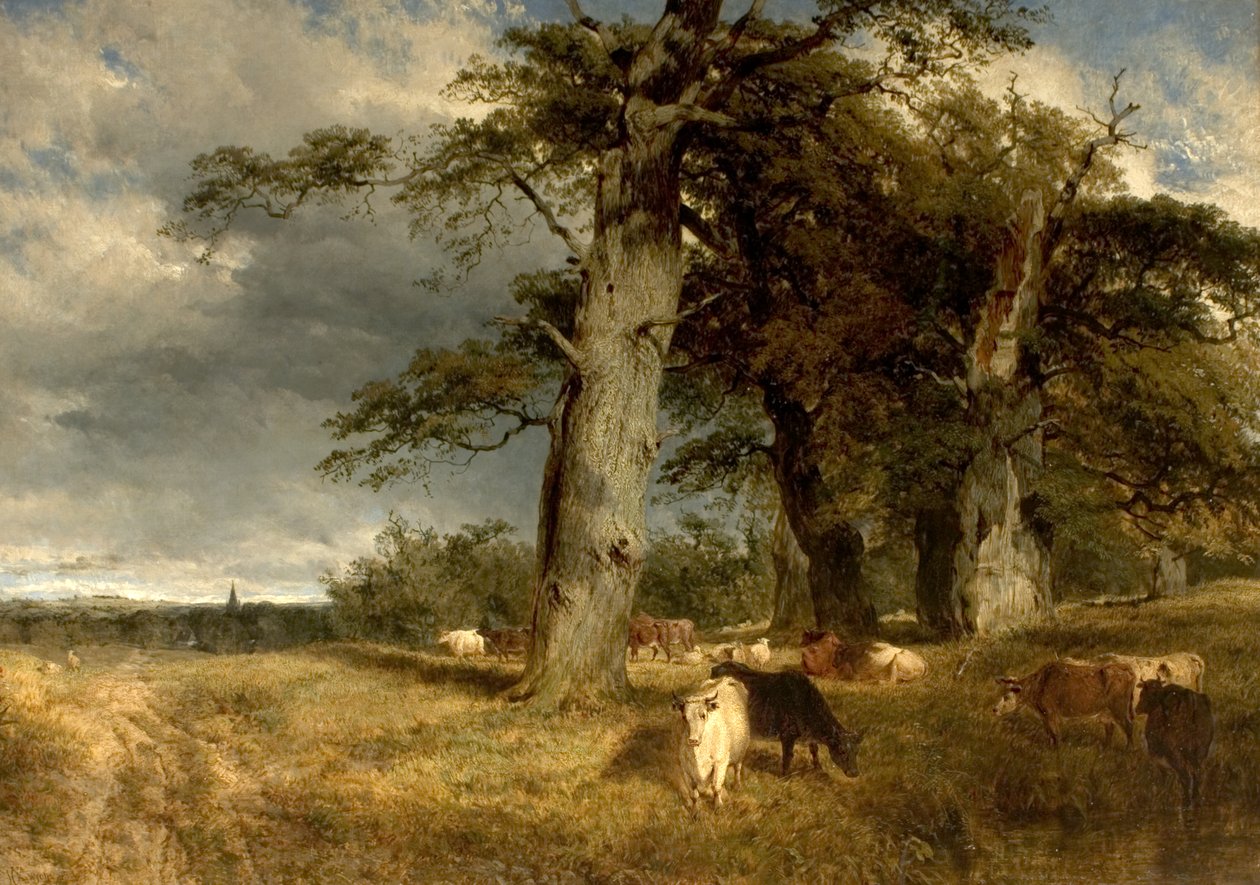Maisema Dukeriesissa, Nottinghamshire, 1850 tekijältä Henry Dawson