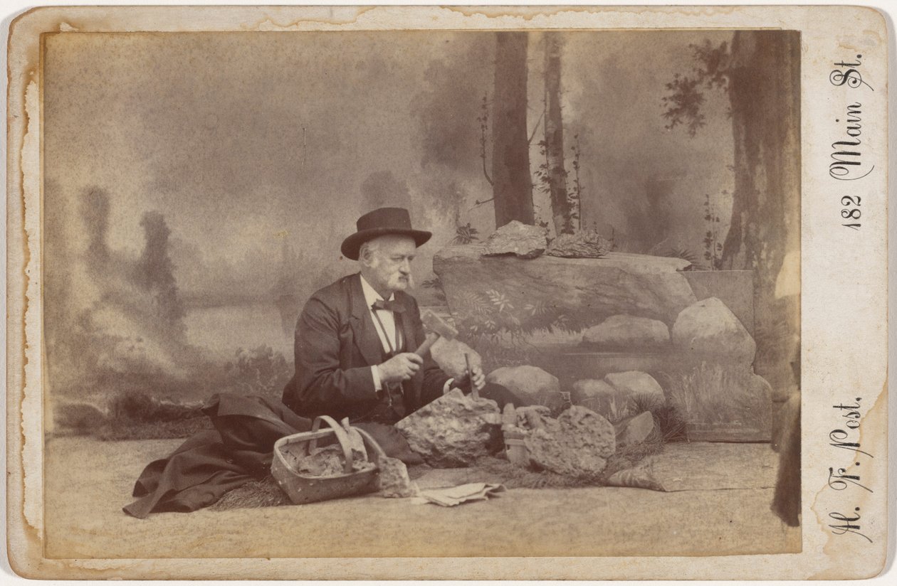 "Dominic Parsons metsästää fossiileja",c. 1896 (kuva) tekijältä Henry F. Post