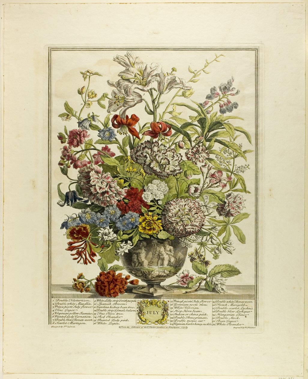 Heinäkuu, alkaen Twelve Months of Flowers tekijältä Henry Fletcher