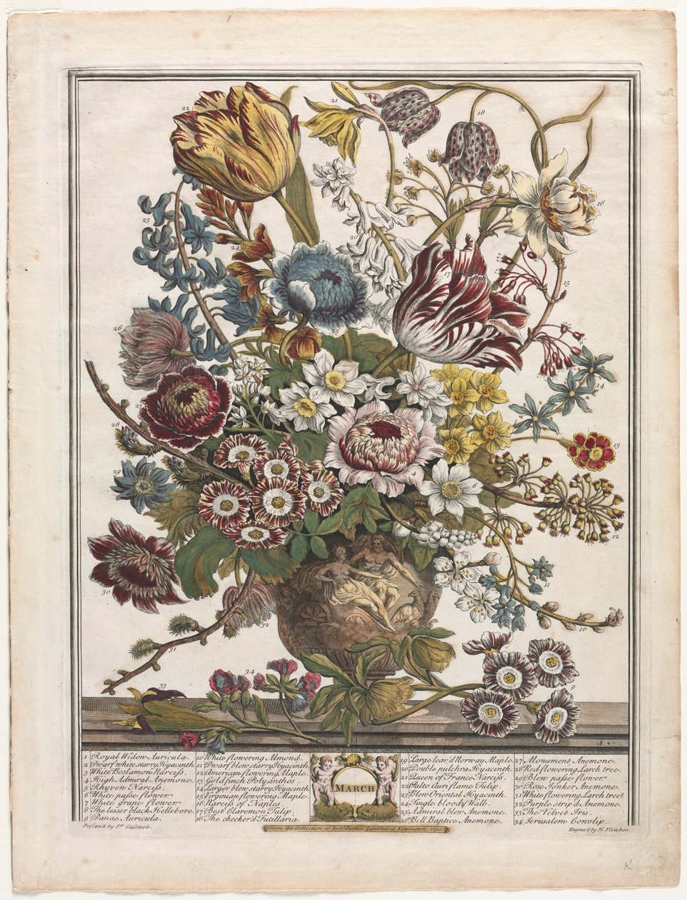 12 kuukautta kukkia: maaliskuu 1730. tekijältä Henry Fletcher