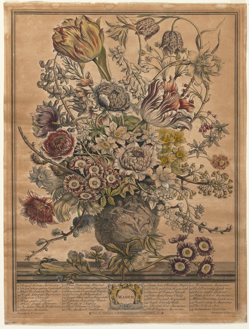 Kaksitoista kuukautta kukkia: maaliskuu 1730. tekijältä Henry Fletcher