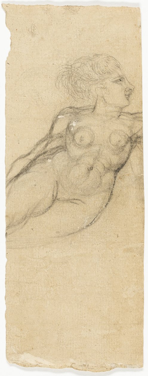 Alastonkuvia koskevat tutkimukset tekijältä Henry Fuseli