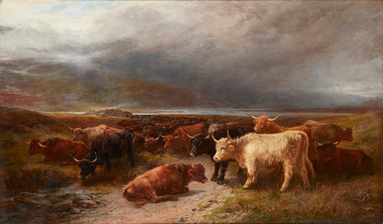 Highland Cattle in a Mountain Glen (öljy kankaalle) tekijältä Henry Garland