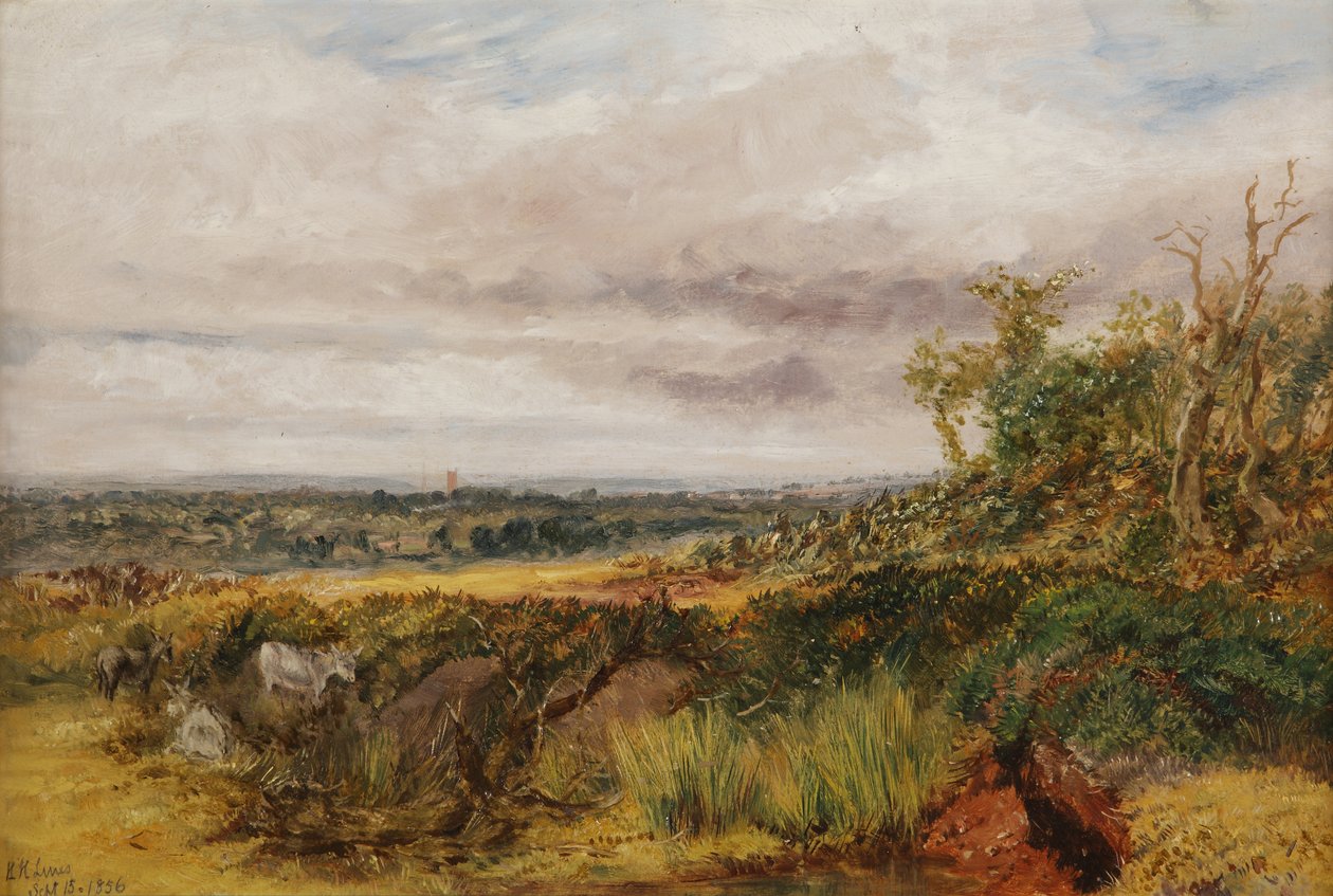 Maisema, 1856 tekijältä Henry Harris Lines