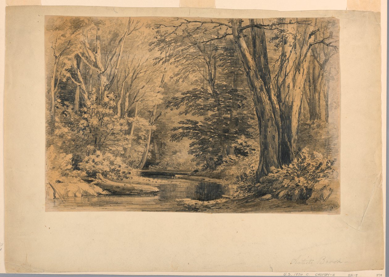 Piirustus, Puro metsässä, 1854 tekijältä Henry Hitchings