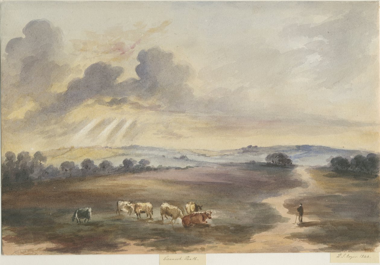 Cannock Chase - "Heath": akvarellimaalaus, 1844 tekijältä Henry James Noyes