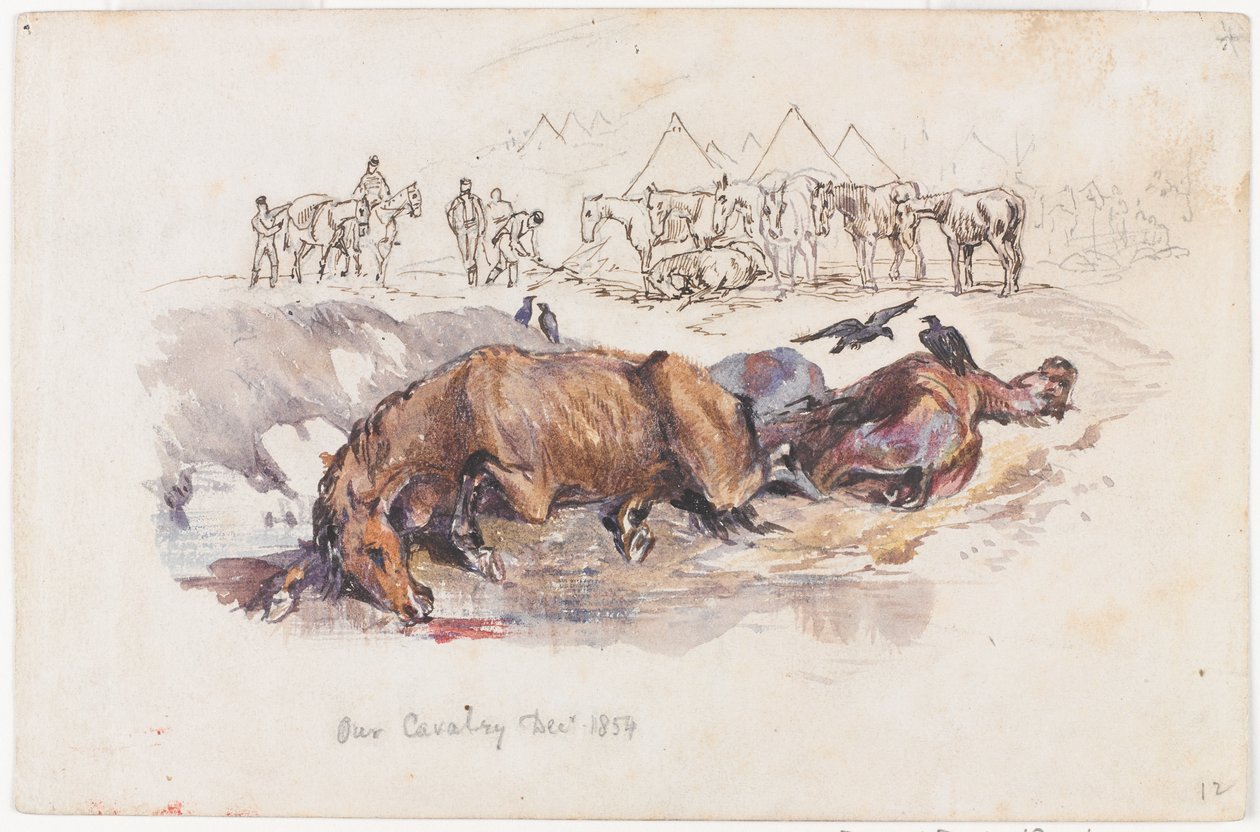 Meidän ratsuväkemme, kuolleet hevoset tekijältä Henry John Wilkinson