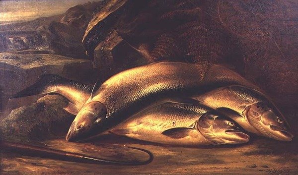 Lohen asetelma tekijältä Henry Leonidas Rolfe