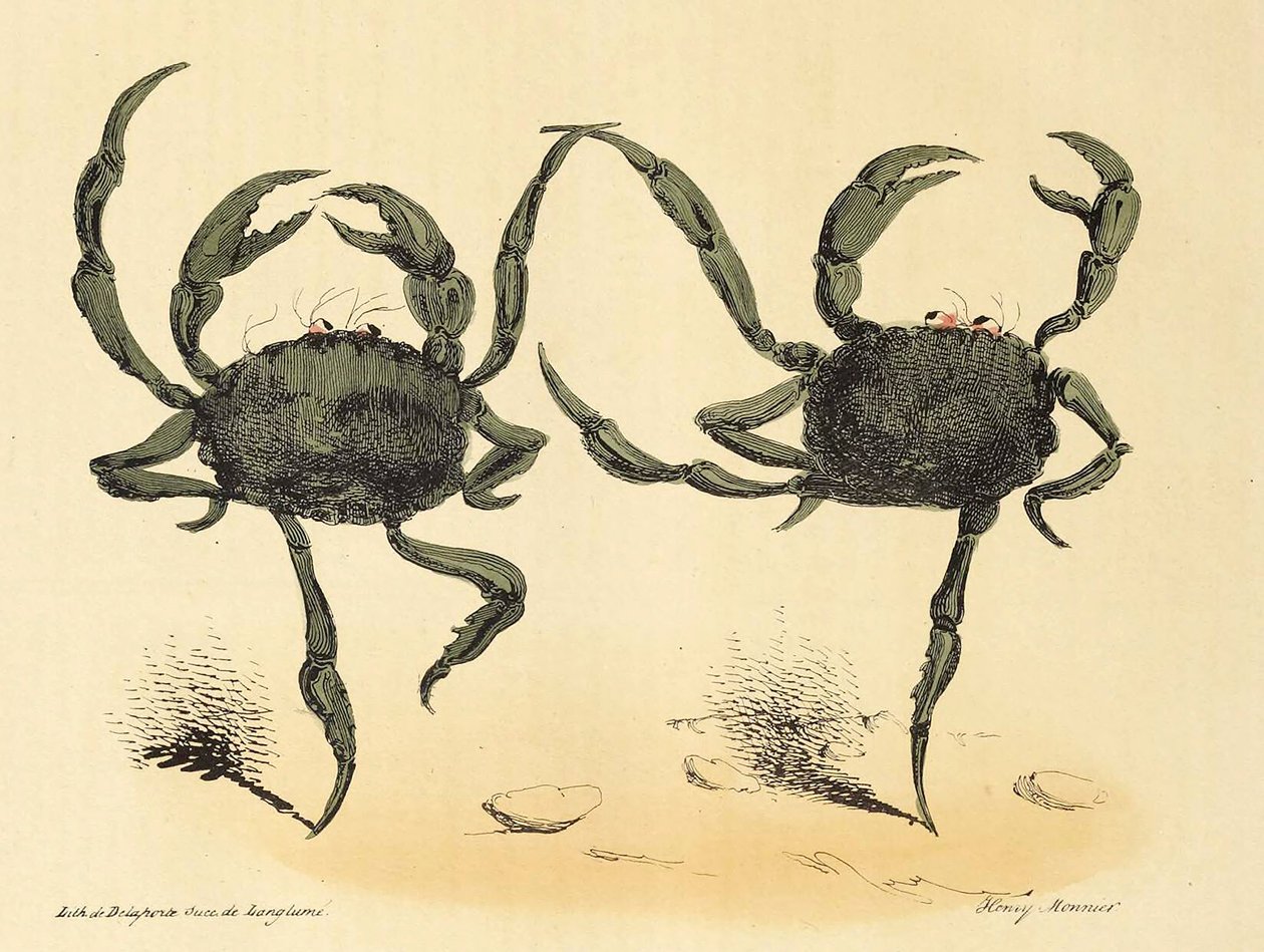 Fantastic Dance from La Caricature, pub. 1831 litografia, 1831. tekijältä Henry Monnier