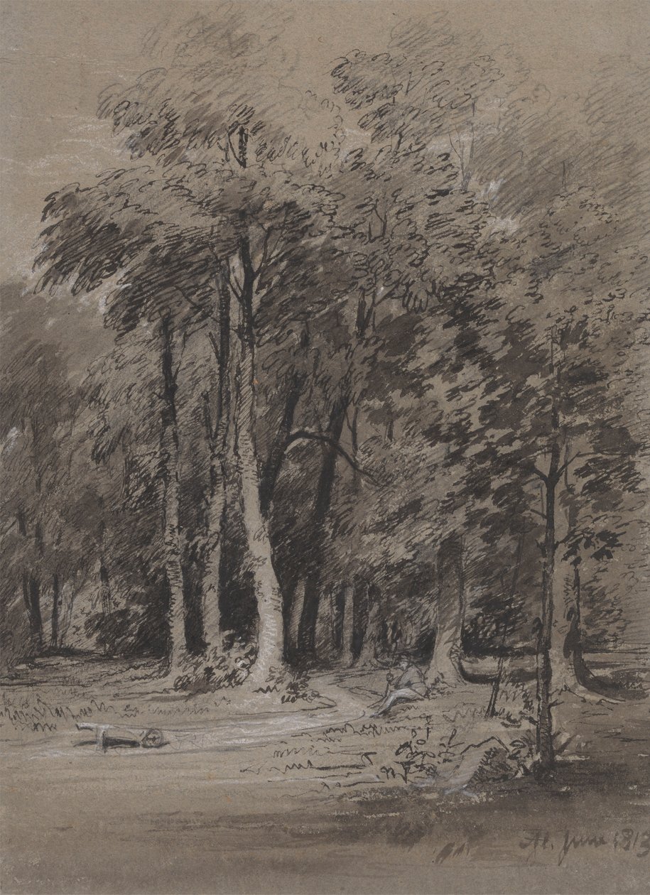 Metsäinen rata tekijältä Henry Monro