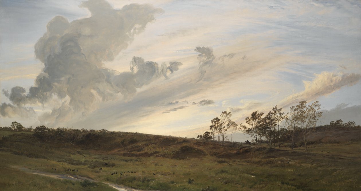 Villi ilta sateen jälkeen, Yorkshire tekijältä Henry Moore