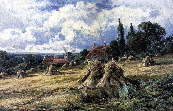 Surrey Cornfield tekijältä Henry Parker