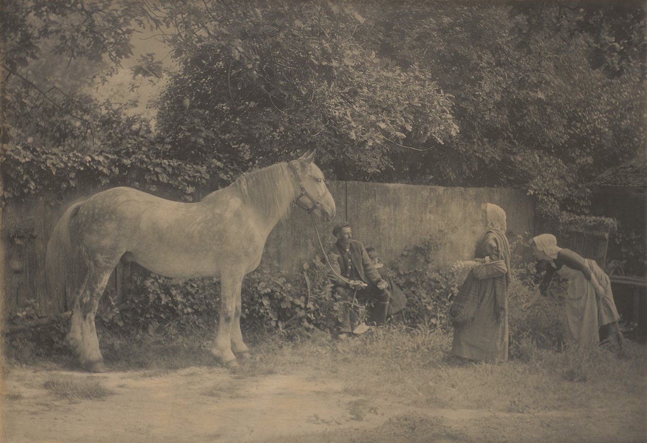 [Old Dapple] tekijältä Henry Peach Robinson