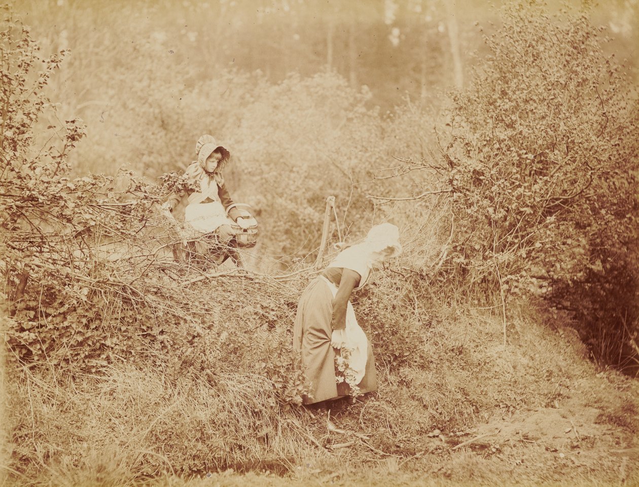 Yli pensasaidan ja ojan tekijältä Henry Peach Robinson