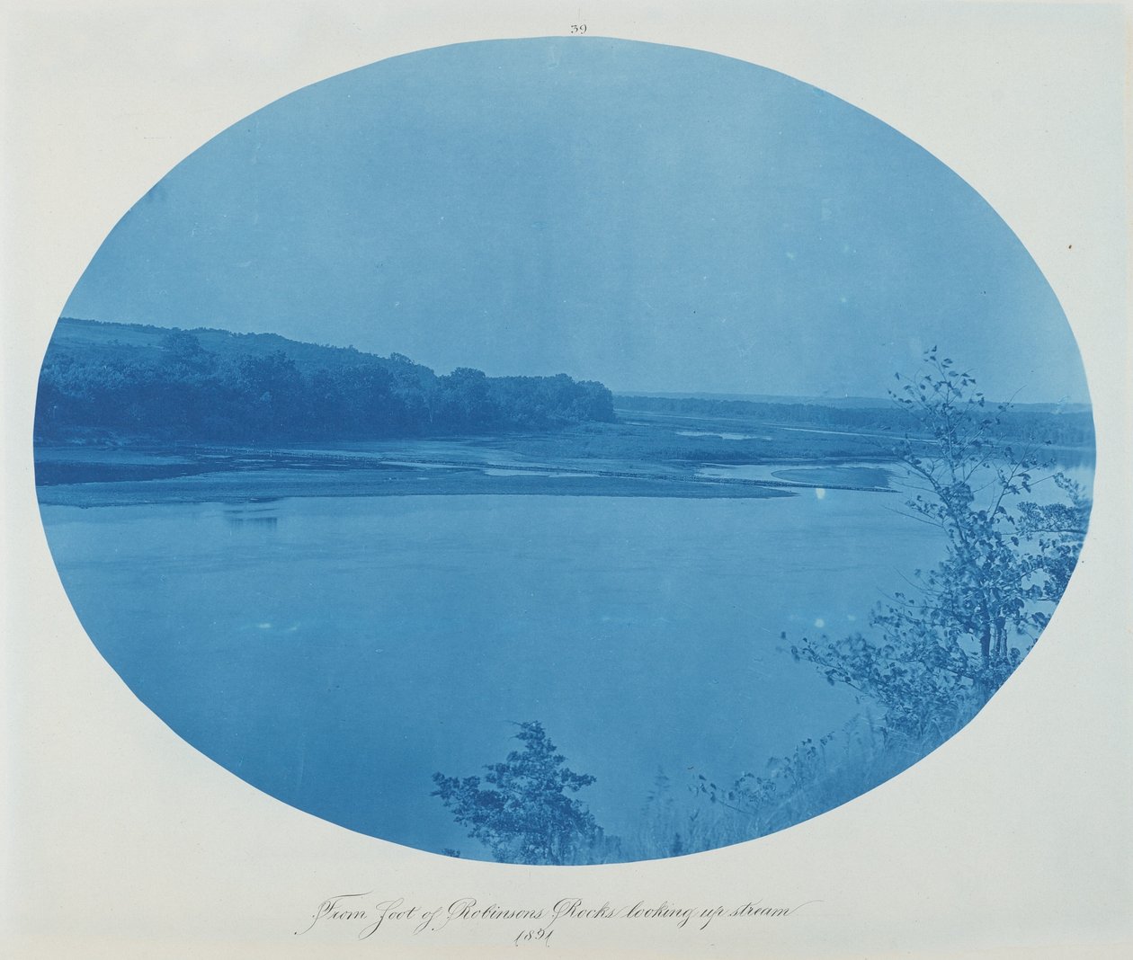 Robinson