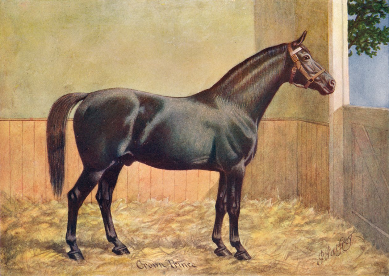 Yorkshire Coach Horse ori Crown Prince, 1902 c1910 tekijältä Henry Powell Palfrey