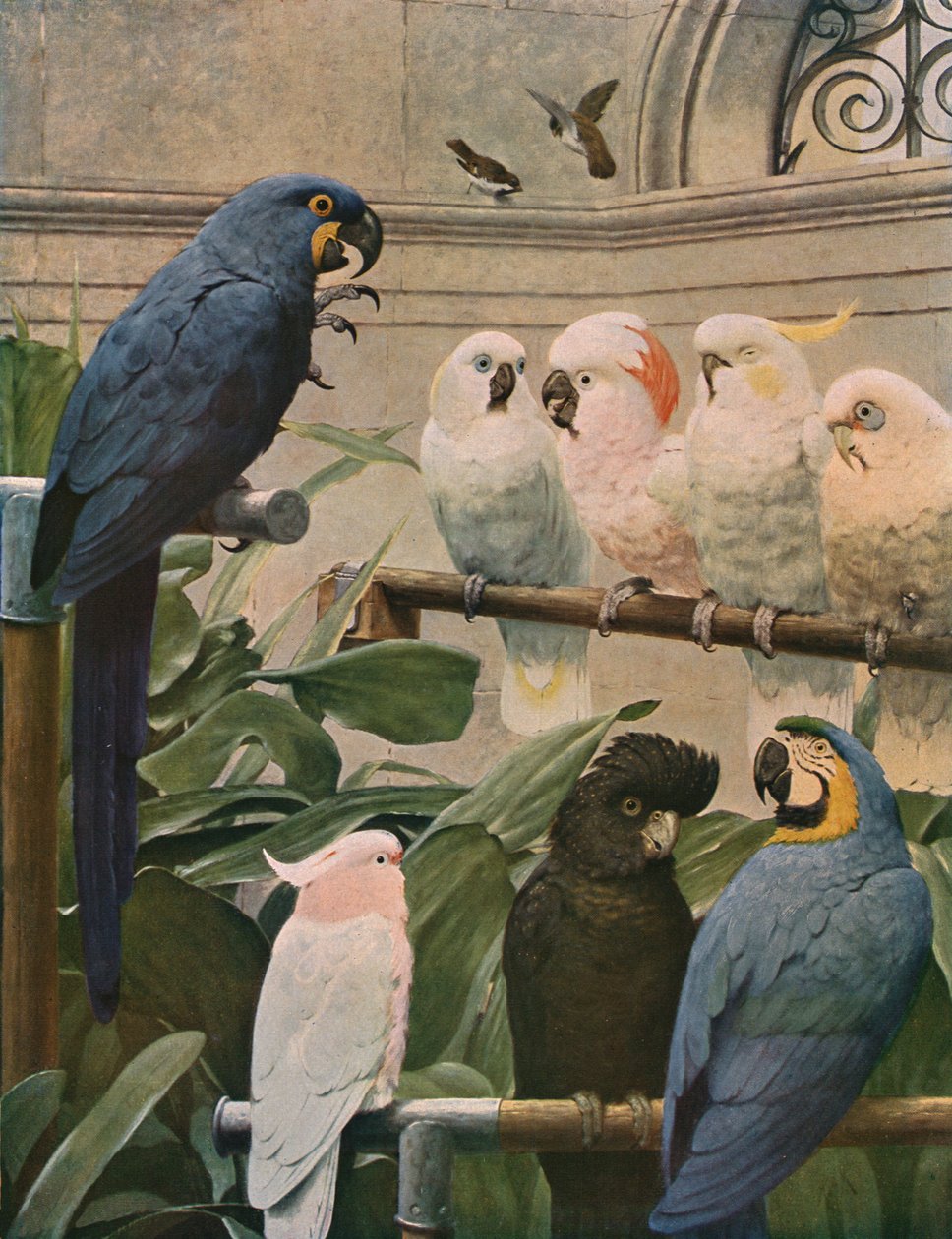 A Select Committee, 1891, c1930. tekijältä Henry Stacey Marks